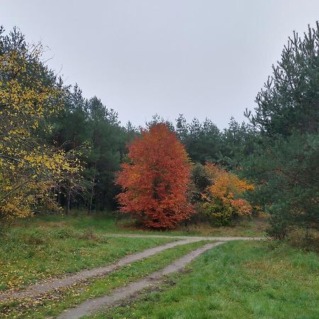 Agroturystyka Lesna Babka Jastrowie Exteriör bild