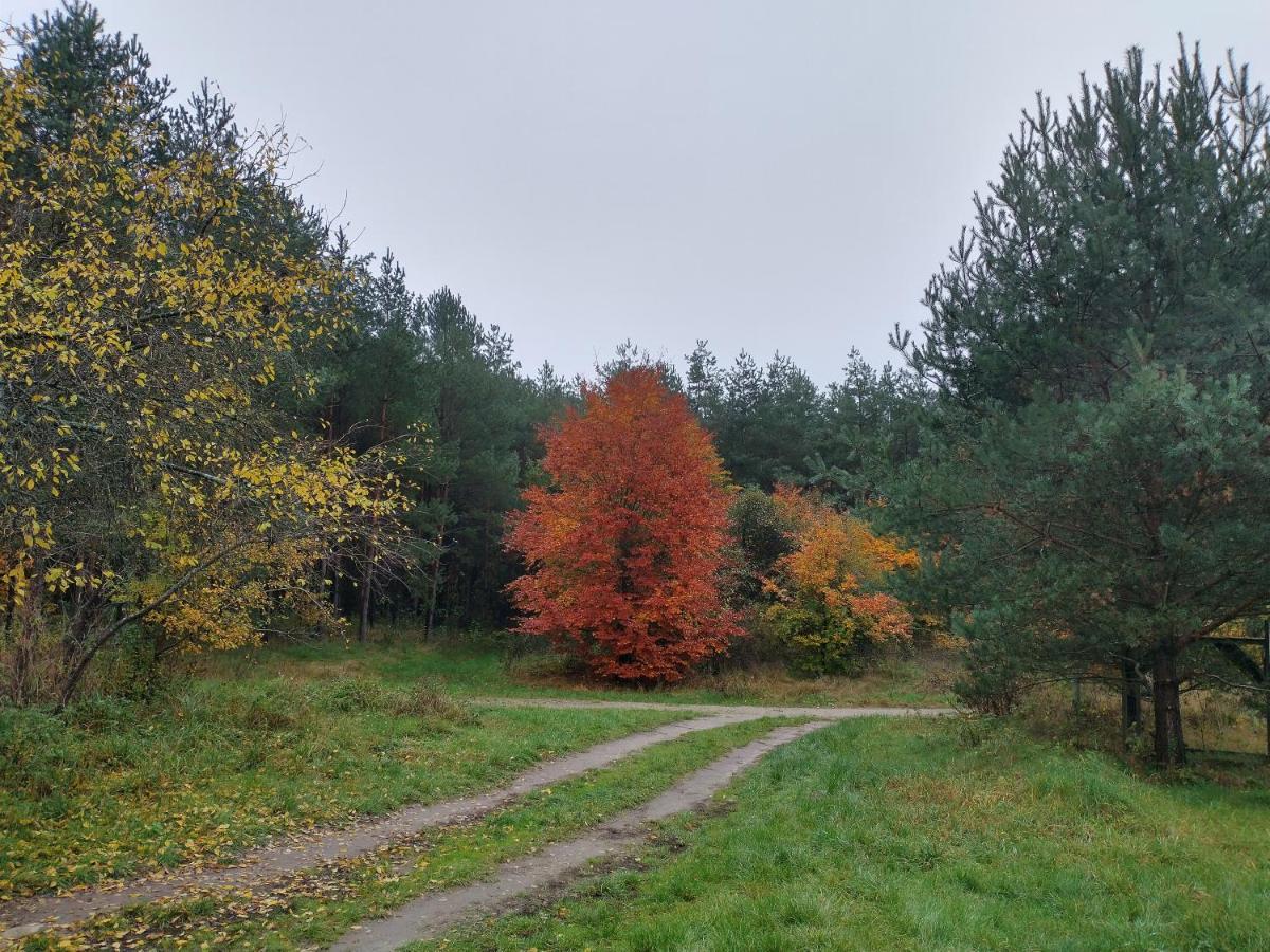 Agroturystyka Lesna Babka Jastrowie Exteriör bild